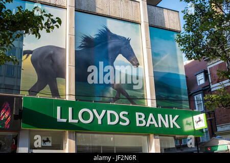 La banque Lloyds avec photo de cheval noir au-dessus de la branche sur Oxford Street, Londres, Angleterre, Royaume-Uni Banque D'Images