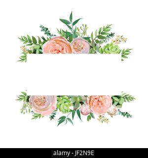 Vector floral design conception de carte. Soft rose pêche jardin anglais rose, fougère vert eucalyptus feuilles branches saisonnières mix. Message d'invitat Illustration de Vecteur