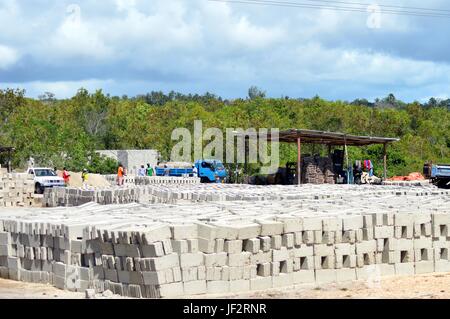 Usine parpaing sécher au soleil dans un village à Zanzibar Banque D'Images