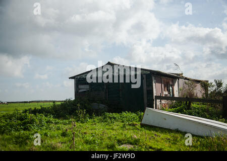 Un vieux, rouge violacé ou même, grange dans une ferme domaine de l'herbe verte sous un beau ciel bleu avec des nuages blancs dispersés dans la prairie sur une belle journée à la Banque D'Images