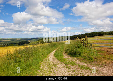 Un scenic bridleway avec une barrière métallique donnant sur le paysage agricole du Yorkshire Wolds sous un ciel d'été bleu Banque D'Images