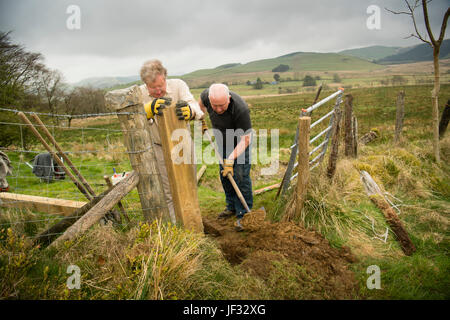 Travail bénévole au Royaume-Uni : des adultes bénévoles qui travaillent sur le projet de remplacement de la porte sur un droit de passage public sentier en région rurale près de Pont du Diable,Ceredigion Pays de Galles au Royaume-Uni. Banque D'Images