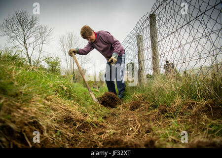 Travail bénévole au Royaume-Uni : un groupe d'adultes bénévoles travaillant sur un sentier pour la réparation, l'écartement et l'amélioration d'un droit de passage public en milieu rural, le Pays de Galles Ceredigion UK Banque D'Images