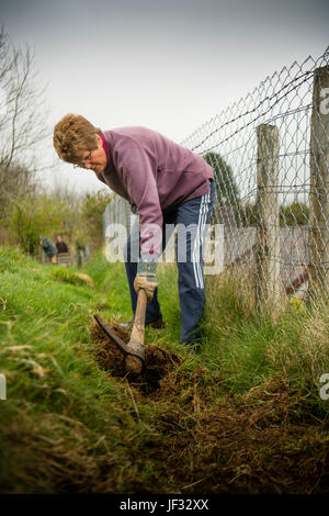 Travail bénévole au Royaume-Uni : un groupe d'adultes bénévoles travaillant sur un sentier pour la réparation, l'écartement et l'amélioration d'un droit de passage public en milieu rural, le Pays de Galles Ceredigion UK Banque D'Images