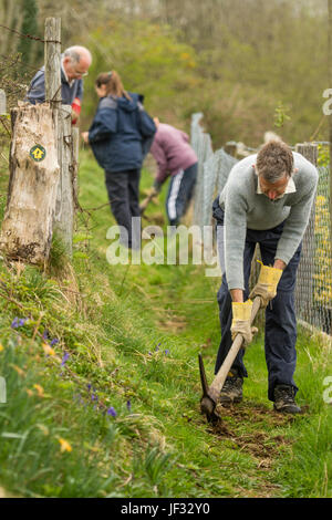 Travail bénévole au Royaume-Uni : un groupe d'adultes bénévoles travaillant sur un sentier pour la réparation, l'écartement et l'amélioration d'un droit de passage public en milieu rural, le Pays de Galles Ceredigion UK Banque D'Images