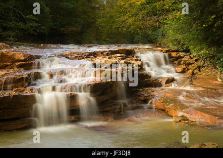 Cascade sur le ruisseau boueux près de Albright, WV Banque D'Images