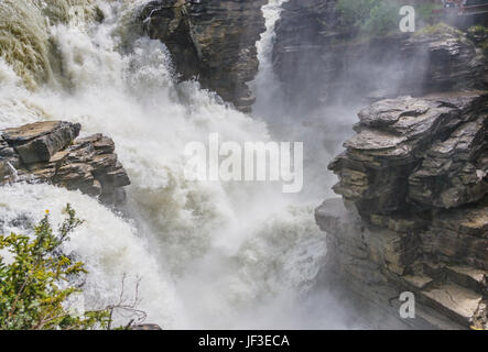 Chutes Athabasca dans le parc national Jasper, en Alberta, Canada. S'écoulant du champ de glace Columbia, les chutes de la rivière Athabasca sont à couper le souffle. Banque D'Images