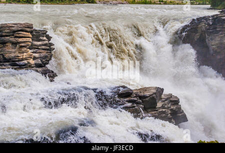 Chutes Athabasca dans le parc national Jasper, en Alberta, Canada. Les chutes Athabasca sont une chute d'eau sur la partie supérieure de la rivière Athabasca. Banque D'Images