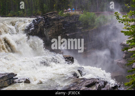 Chutes Athabasca dans le parc national Jasper, en Alberta, Canada. Les chutes Athabasca sont une chute d'eau sur la partie supérieure de la rivière Athabasca. Banque D'Images