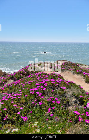 Capturé en scène plage chiringuitos (également appelé gale beach), Albufeira, Algarve, Portugal. Banque D'Images