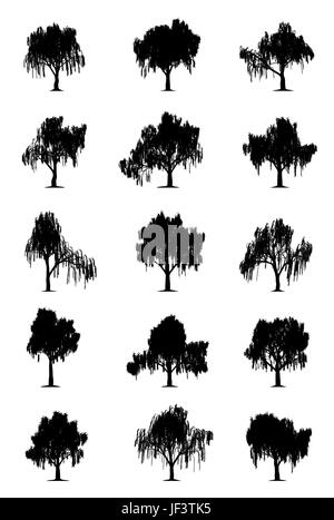 Arbre, arbres, Parc, jardin, silhouette, saule pleureur, saules pleureurs, forêt, Illustration de Vecteur