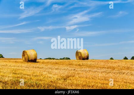 Golden haye bales Banque D'Images