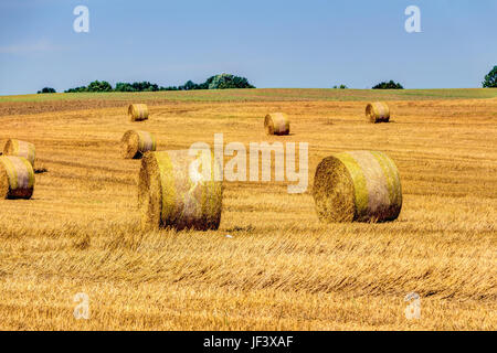 Golden haye bales Banque D'Images