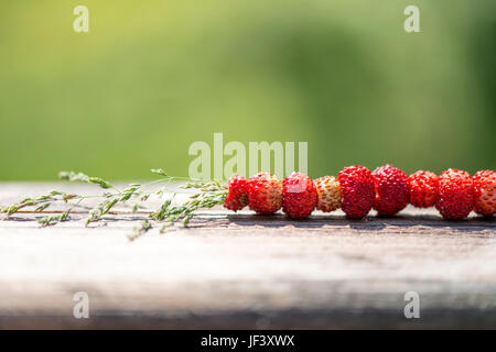 Framboises sauvages sur herbe Banque D'Images