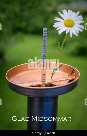 Pluviomètre avec fleur Banque D'Images
