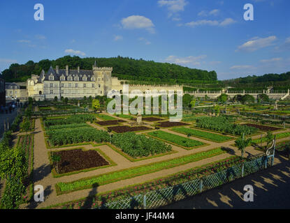 Le potager au Château de Villandry, vallée de la Loire, France Banque D'Images