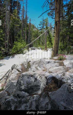 Lee Vining canyon rivière dans le plein débit pendant la fonte des neiges 2017 après de neige record au cours de l'hiver peu après cette pic le canyon a été évacué Banque D'Images