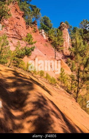 Les arbres verts contraste créer à partir de l'ocre Banque D'Images