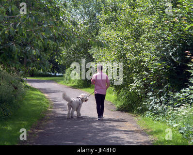 De suite et canal de Clyde Glasgow Ecosse homme chien de berger balade journée ensoleillée Banque D'Images