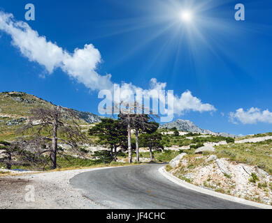 Col Llogara d'été (Albanie) Banque D'Images