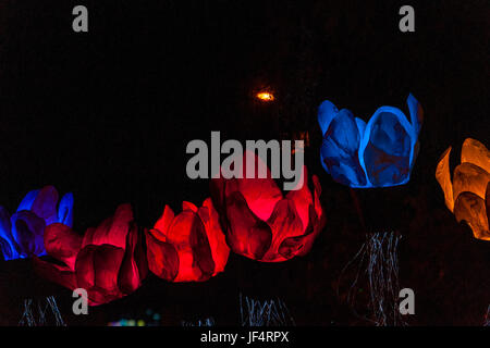 Jérusalem, Israël. 28 Juin, 2017. Jérusalem, Israël. Fleurs artificielles rougeoyant, une partie de la lumière '2017' Festival à Jérusalem. Credit : Yagil Henkin/Alamy Live News Banque D'Images