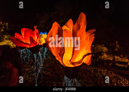 Jérusalem, Israël. 28 Juin, 2017. Jérusalem, Israël. Fleurs artificielles rougeoyant, une partie de la lumière '2017' Festival à Jérusalem. Credit : Yagil Henkin/Alamy Live News Banque D'Images