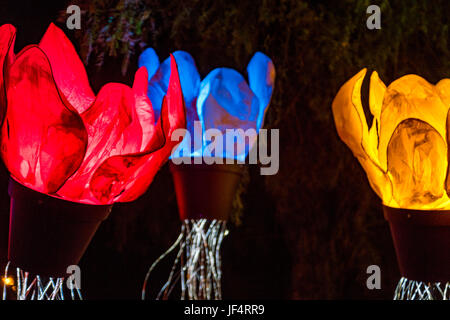 Jérusalem, Israël. 28 Juin, 2017. Jérusalem, Israël. Fleurs artificielles rougeoyant, une partie de la lumière '2017' Festival à Jérusalem. Credit : Yagil Henkin/Alamy Live News Banque D'Images