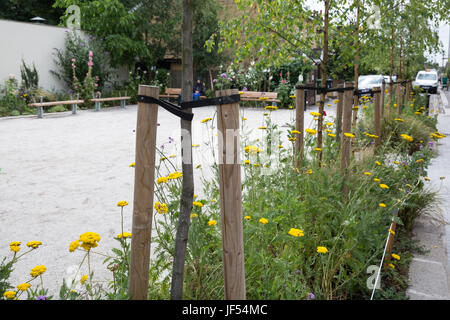 Londres, Royaume-Uni. 29 Juin, 2017. La plantation autour d'une clôture à proximité de la route d'Orford à Walthamstow Village installé conjointement avec la commune de Waltham Forest's Mini-Holland scheme et profiter de Waltham Forest Programme. Credit : Mark Kerrison/Alamy Live News Banque D'Images