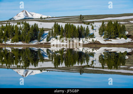 Réflexion sur le lac, le Parc National de Yellowstone, Wyoming par Bruce Montagne Banque D'Images