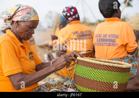 Les femmes d'une coopérative du tisserand traditionnel tisser des paniers de paille ensemble dans la région du nord-est, au Ghana. Banque D'Images