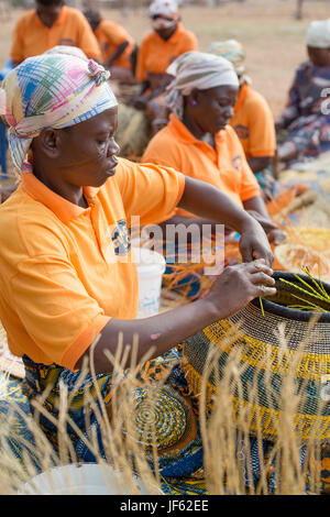 Les femmes d'une coopérative du tisserand traditionnel tisser des paniers de paille ensemble dans la région du nord-est, au Ghana. Banque D'Images