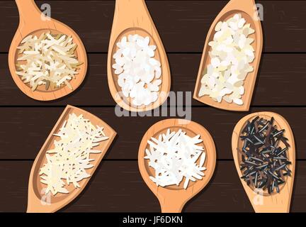 Différents types de riz dans des cuillères en bois. Sauvages, Basmati, jasmin, long, brun, arborio sushi. Pour l'étiquette, l'affiche de la publicité. Vector illustration sombre. Illustration de Vecteur