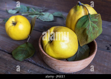 Coing frais fruits sur table en bois foncé Banque D'Images