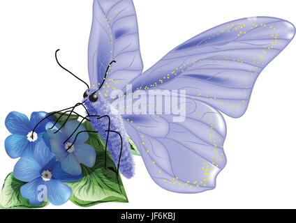 Bleu, macro, portrait, macro, admission vue en gros, détail, isolé, Illustration de Vecteur