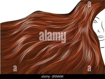 Femme, femme, isolé, gros plan, marron, brunâtre, brunette, visage, portrait, Illustration de Vecteur