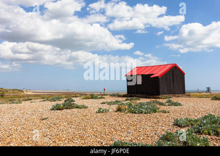 L'abri de rouge, la réserve naturelle de Rye, East Sussex, UK Banque D'Images