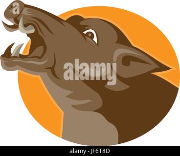 Animal, cochon, animal, graphiques, illustration, retro, délire, furieux, en colère, Illustration de Vecteur