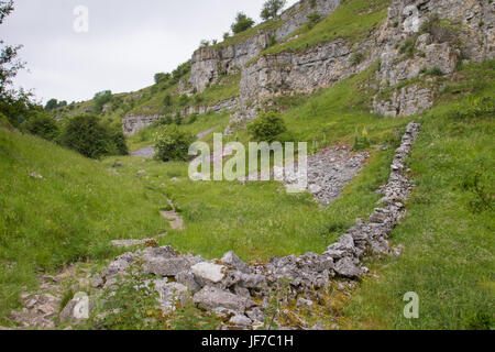Mur de pierres sèches dans une vallée calcaire, Lathkill Dale, Peak District National Park, Royaume-Uni Banque D'Images