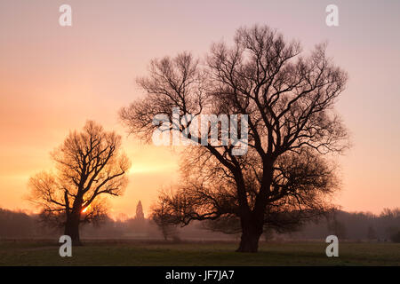 Grantchester Meadows sunrise, Cambridge, Royaume-Uni Banque D'Images