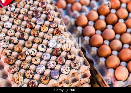 Un assortiment d'œufs biologiques en vente sur le marché principal de Maumere, Indonésie. Banque D'Images