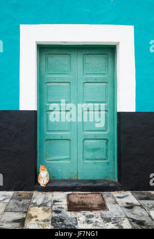 Chat assis dans la porte de maison en Espagne Banque D'Images