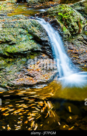 Cascade dans une rivière source. Banque D'Images