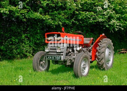 1967 Tracteur Massey Ferguson 135 Banque D'Images