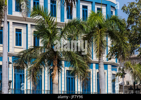 Palmiers et de l'architecture classique - LA HAVANE, CUBA Banque D'Images