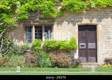 Dark brown portes anciennes en pierre avec l'anglais intraditional wisteria escalade sur le mur, les fleurs et les herbes dans un petit jardin à l'avant . Banque D'Images