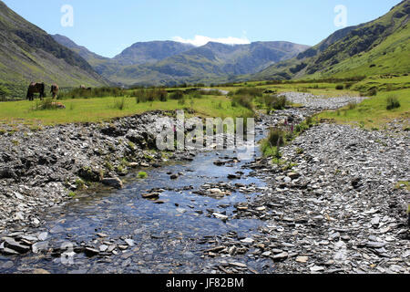 Dans la rivière Afon Ogwen Nant Ffrancon Valley, Galles Banque D'Images