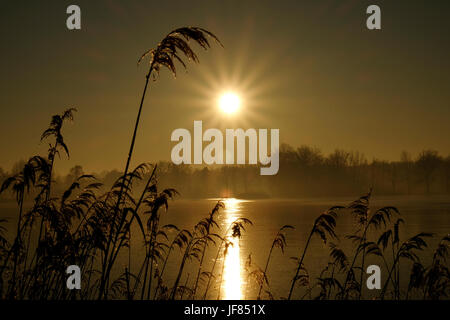 Coucher de soleil sur lac gelé en République tchèque et peu de reflets que le soleil brille à travers roseaux Banque D'Images