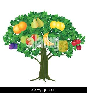 Orange, nourriture, aliment, vitamines, vitamines, doucement, vert, couleur, Illustration de Vecteur