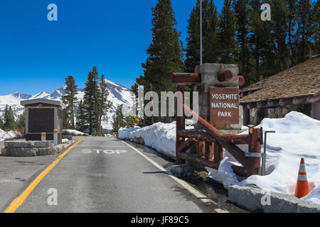 La neige à l'entrée est de Yosemite National Park sur le Tioga Pass vin juin 2017 après des niveaux record de neige de l'hiver a retardé l'ouverture Banque D'Images