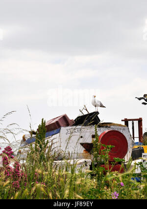 Voile sur la plage d'Aldeburgh Banque D'Images
